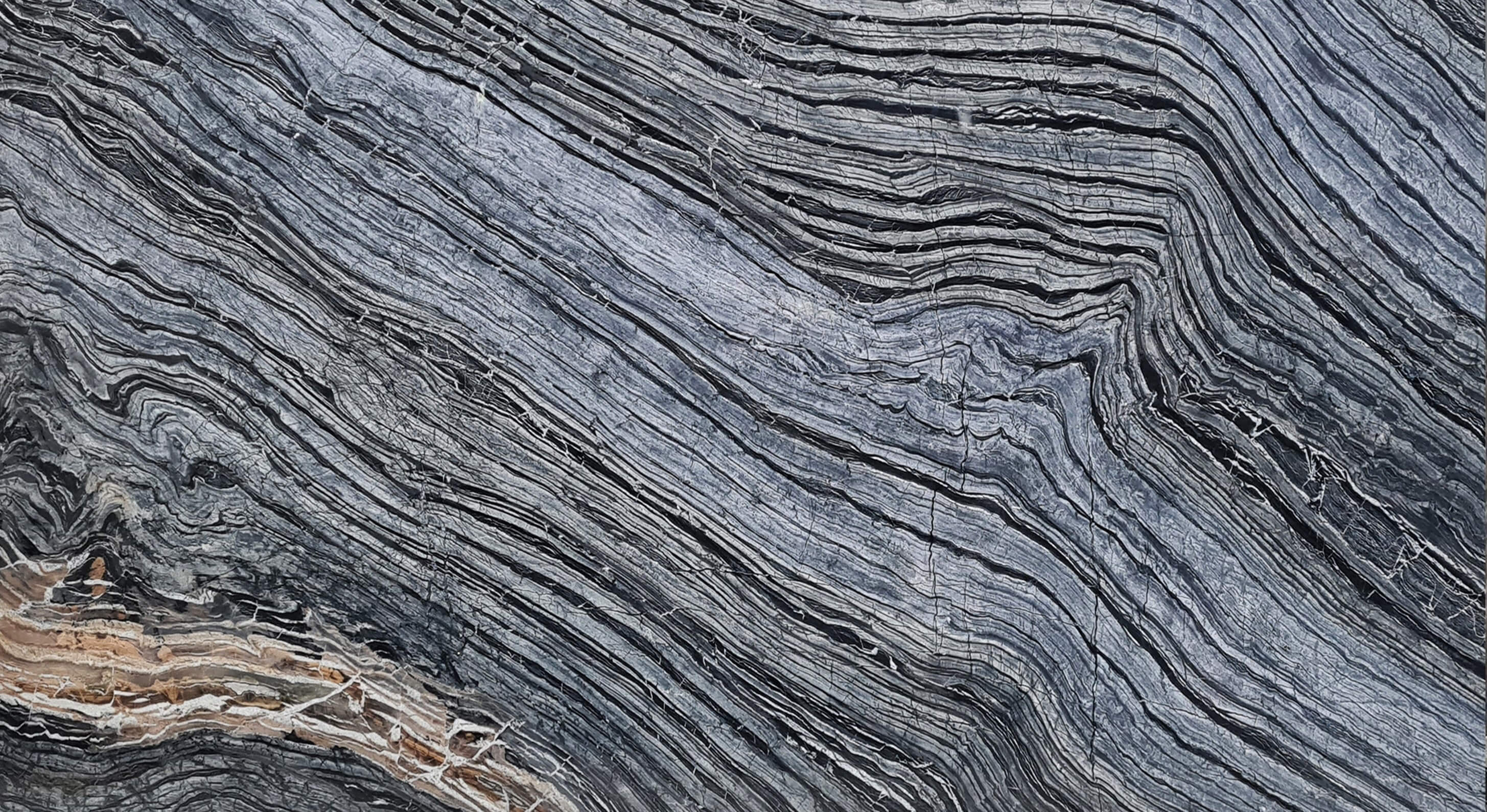 Forest Black || FM Madencilik